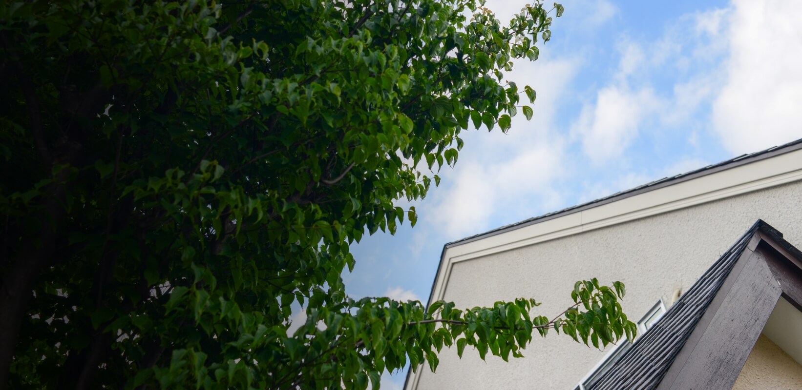 第3者監査と60年サポートで安心の家づくり