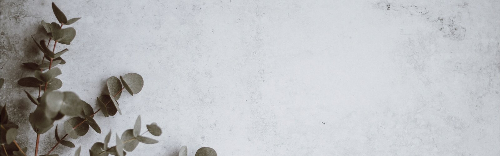 採用情報のイメージ