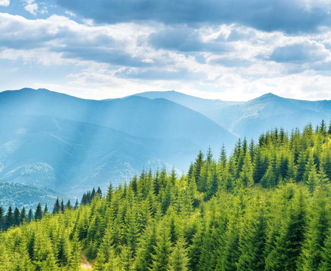 陸の豊かさも守ろう