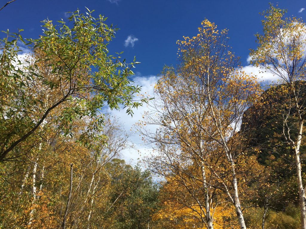 和泉市で家を建てるならリーフアーキテクチャ