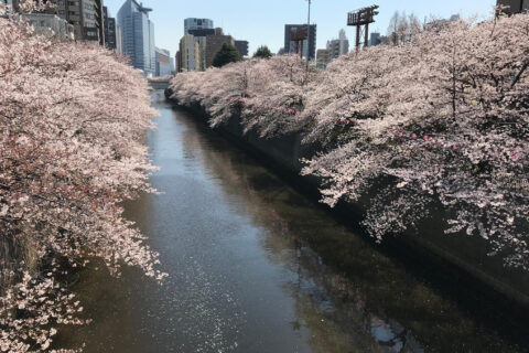 R+houseの初期研修に行ってきました！