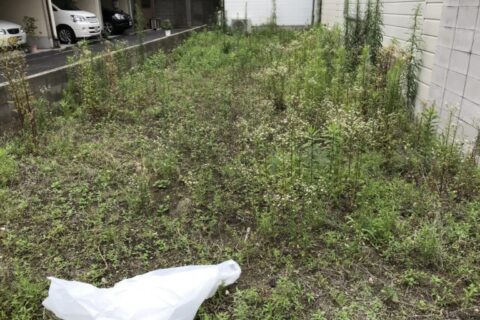 新築現場の草むしり