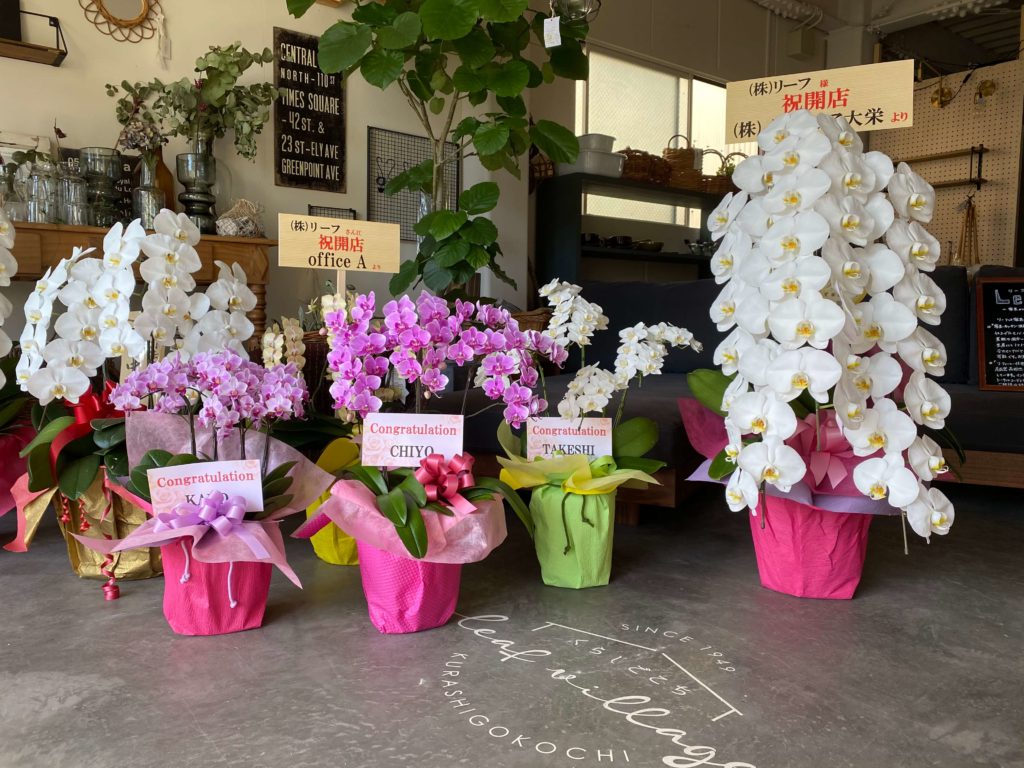 大阪狭山市、河内長野市、富田林市で好奇未踏高断熱住宅ならリーフアーキテクチャ