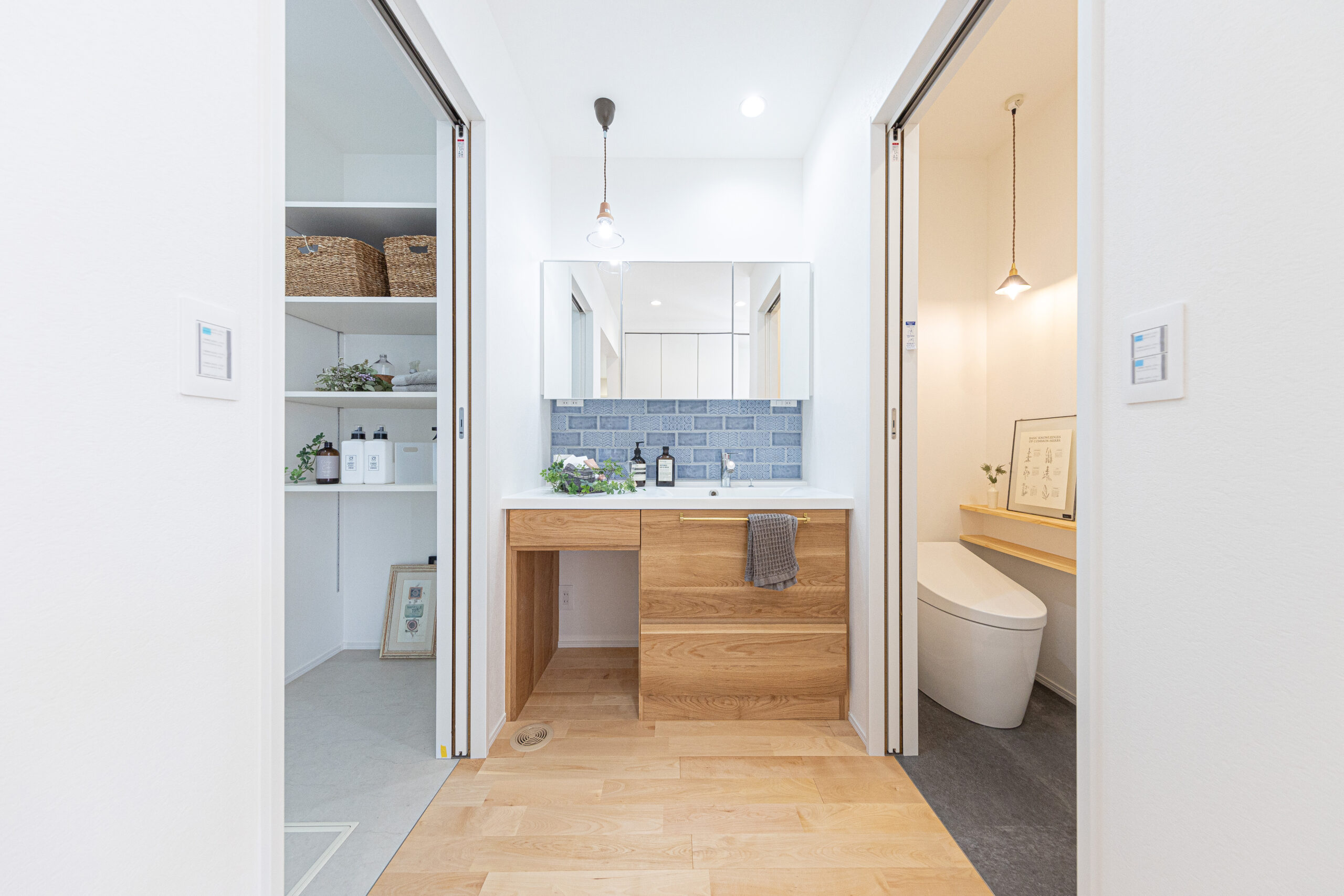 樟葉の家の写真3