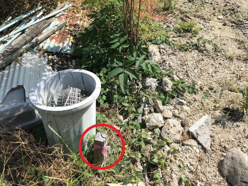 大阪狭山市、河内長野市、富田林市、和泉市、堺市で高断熱高気密住宅ならリーフアーキテクチャ