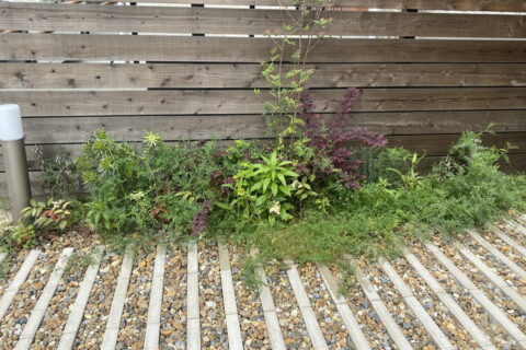 ゴールデンウィークも営業中！